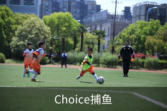 Choice捕鱼公司简介